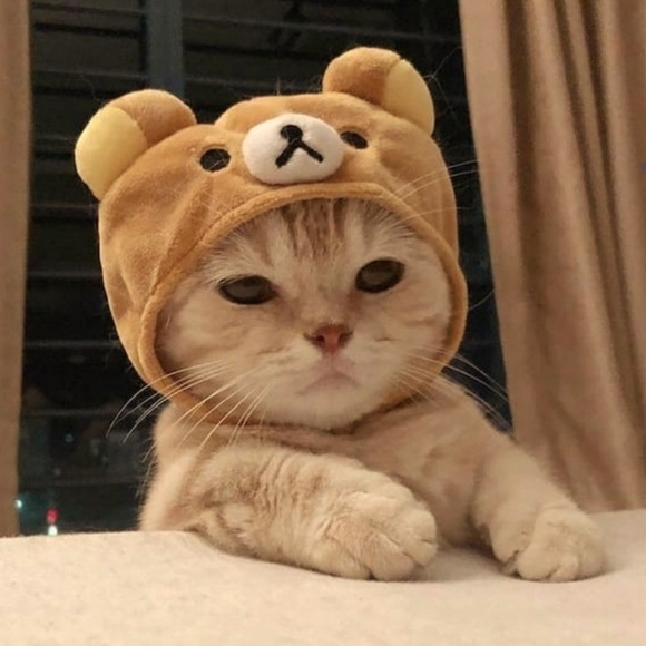 Meet your Posher, Erika - Picture 1 of 2